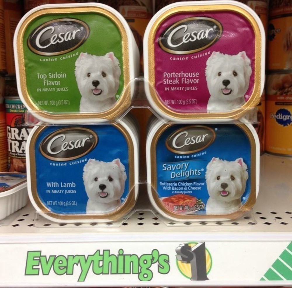 Dollar Tree FREE Cesar Canine Cuisine