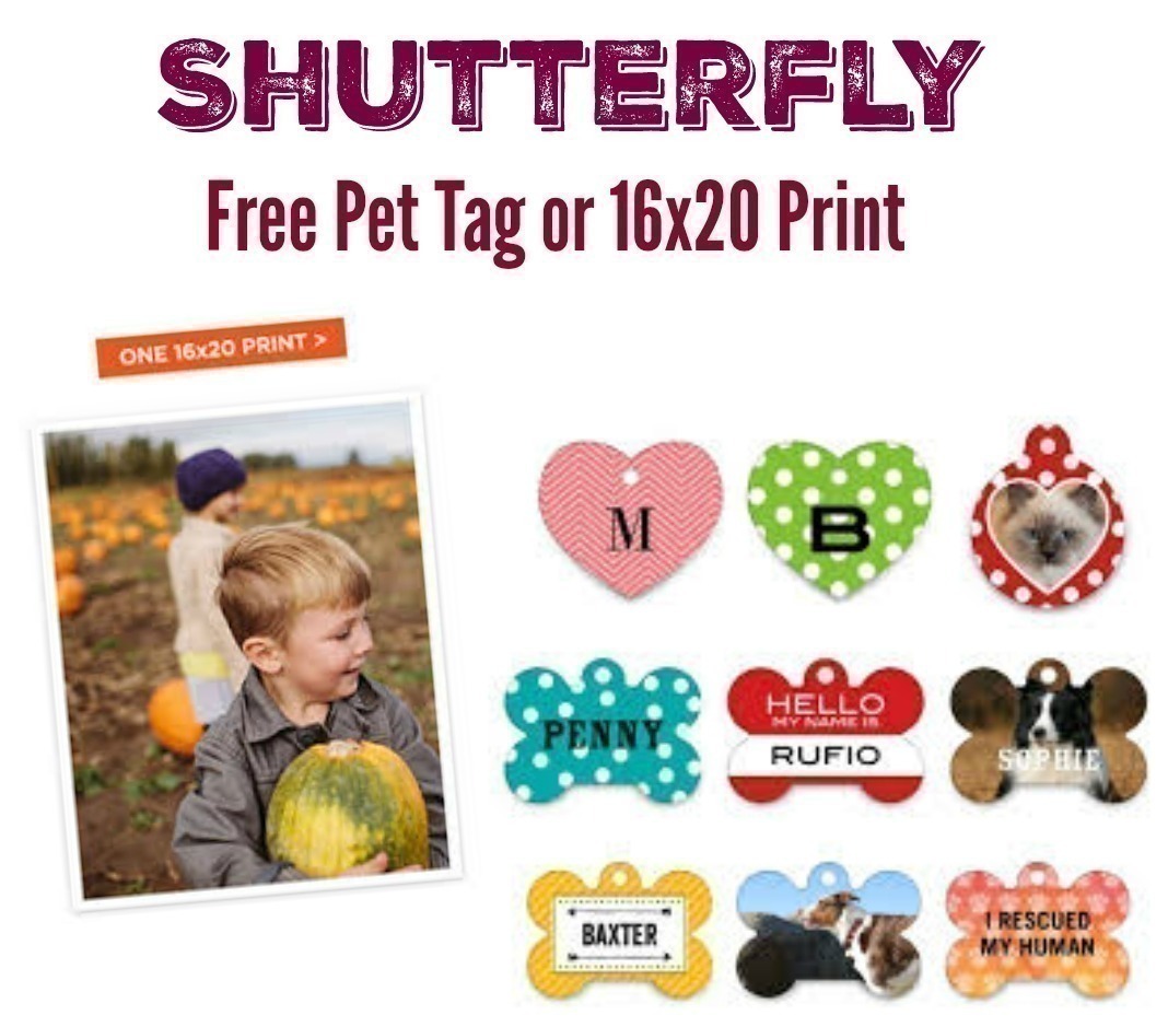 Free pet on sale tag offer