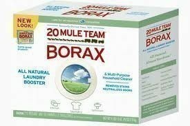 Do it Yourself: Cleaning Your Carpet… Borax & Vinegar!