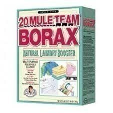 DIY: Using Borax to Remedy Pet Urine on Upholstery or Carpet