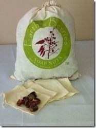 Using Soap Nuts to Wash your Clothes as low as $0.03/load