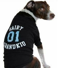 DoggyLoot: FREE $5 Credit + FREE Shipping (Designer Dog Shirt $6)