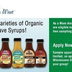Mom Ambassadors: Apply to Try Organic Blue Agave Syrup