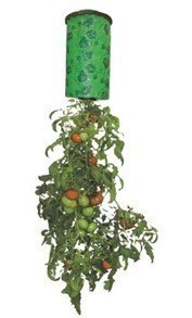 Ace Hardware: Topsy Turvy Tomato Planter $1.99 + FREE Ship to Store