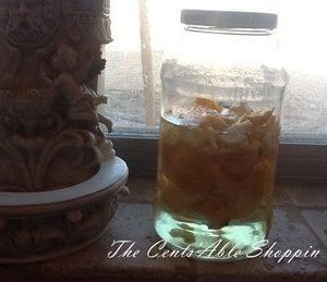 Sprouts: Oranges just $.10 lb + DIY Orange Cleaner and Freshener