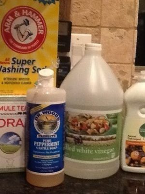 Household Cleaners | Easy Ways to Make your Own (All Purpose, Oven Cleaner, Carpet + More)