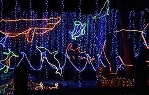 Tucson | LivingSocial: Zoo Lights at Reid Park Zoo–Packages as low as $8