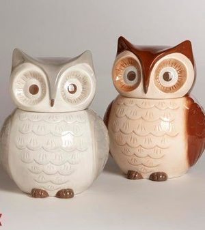 Adorable Owl Cookie Jars Set of 2 just $19.98 Shipped
