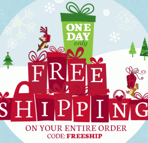 The Disney Store: FREE Shipping on Any Order (Today Only!)