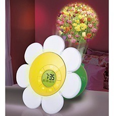 Bon-ton: Discovery Kids Daisy Bloom Clock $5 Shipped