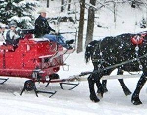 DealChicken: Family Sleigh Ride with Bonfire, Cocoa & More just $74