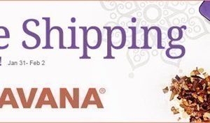 Teavana: FREE Shipping on All Orders + FREE Sample of Maharaja Chai / Samurai Chai Blend