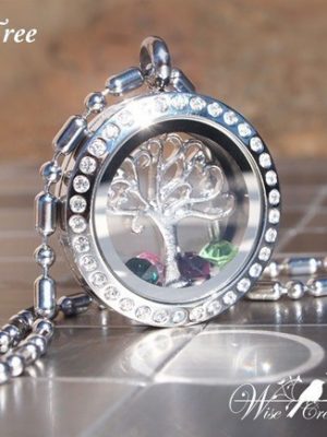 Family Tree Crystal Locket with Personalized Birthstones $20.99