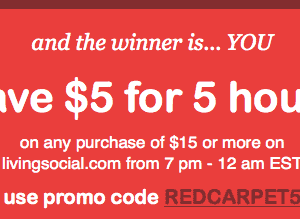 LivingSocial: $5 off $15 Purchase Code (Tonight Only) + Deal Ideas
