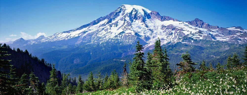 National Parks Black Friday: Score Big Savings On Your Next Adventure