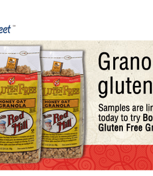 Mom’s Meet Ambassadors: Possibly FREE Bob’s Red Mill Gluten-Free Granola