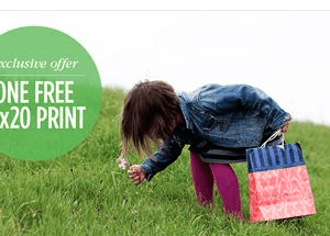 Shutterfly: FREE 16×20 Photo Print {Just Pay Shipping}