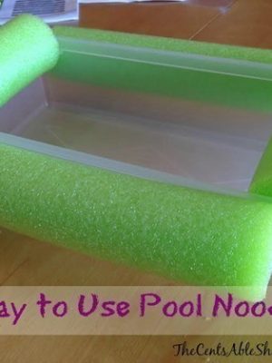 Fun Way to Use Pool Noodles