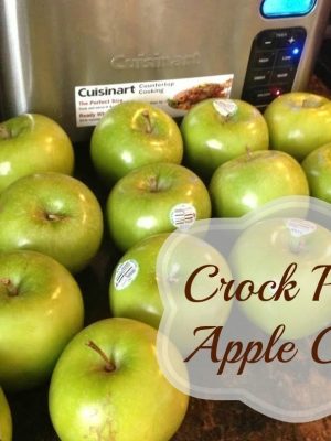 Recipe | Crock Pot Apple Crisp