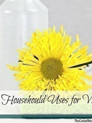 Vinegar | 20 Household Uses {with Printable}