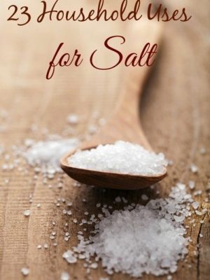 Salt | 23 Household Uses {with Printable Reference}