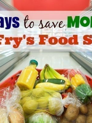 How to Save Money at Fry’s | Top Ten Tips