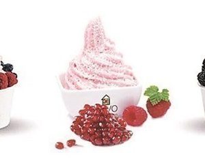 $10 for $20 Worth of Frozen Yogurt at Zoyo