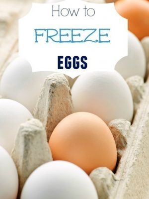 How to Freeze Eggs