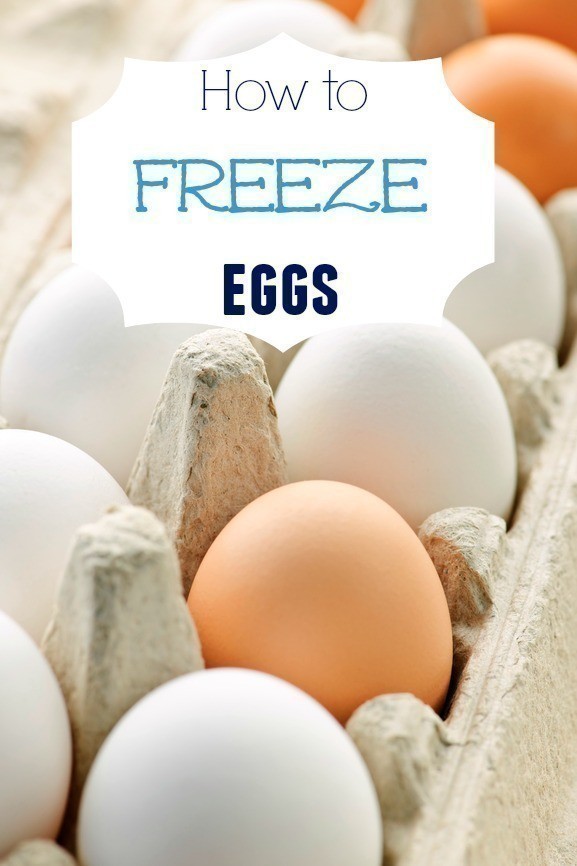 How to Freeze Eggs The CentsAble Shoppin