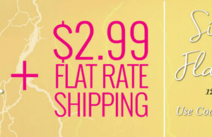Oneida: 30% off + $2.99 Flat Rate Shipping {Ends Tonight}