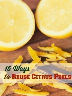 15 Ways to Reuse Citrus Peels