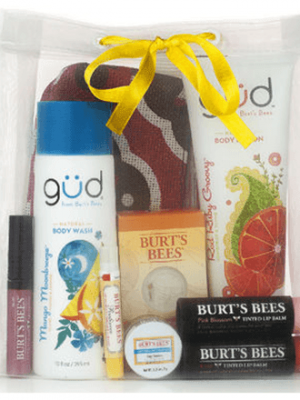 Burt’s Bees: Summer Grab Bag just $20