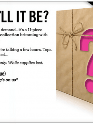 Bare Escentuals: 11 pc Beauty Surprise Collection $45 + FREE Shipping {$188 Value}