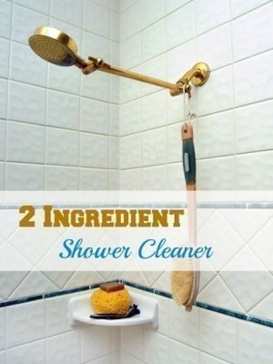 Easy 2-Ingredient Shower Cleaner {Dawn + Vinegar}