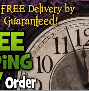 Oriental Trading Company: FREE Shipping on ANY Order {Disney Frozen Items as low as