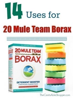 14 Uses for 20 Mule Team Borax {+ a Coupon}