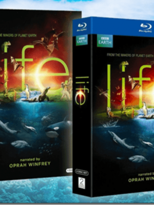 BBC Life 4-Disc DVD or Blu-ray Set Narrated by Oprah Winfrey $9.99