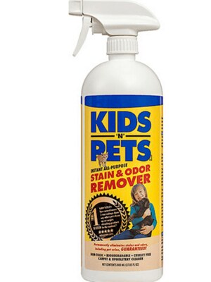 FREE Kids&rsquo;N Pets All Purpose Stain Product {After Rebate}