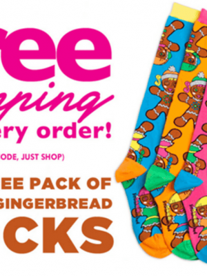 Little Miss Matched: FREE Shipping + FREE Pair of Gingerbread Socks with ANY Purchase {Items as low as $2}
