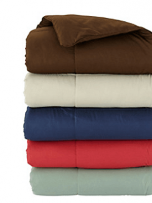 Bon-Ton: Microfiber Down-Alternative Throw just $8 + FREE Shipping