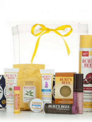 Burt’s Bees Holiday Grab Bag just $25 + FREE Shipping {7 Full Size Products}