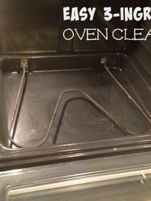 Easy 3-Ingredient Oven Cleaner