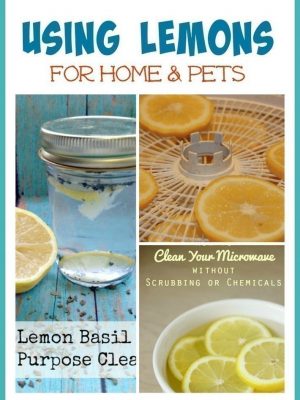 Easy Ways to Use Lemons at Home | From Pets to Cleaners & More