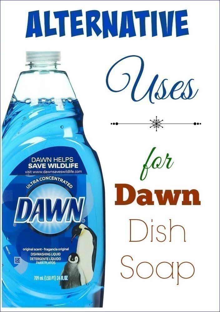 Alternative Uses for Dawn Dish Soap
