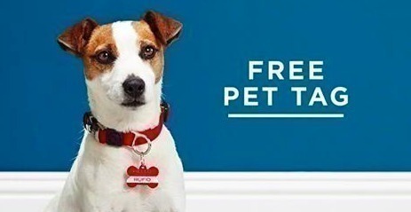 FREE Pet Tag at Shutterfly {Just Pay Shipping}