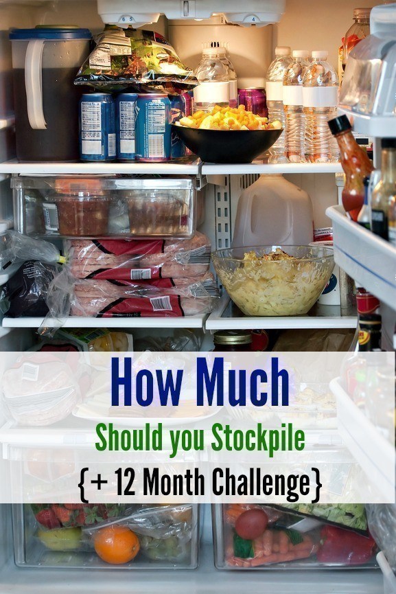 12 Month Stockpile Challenge Reader Submissions ~ Under $10 at Fry’s & Target