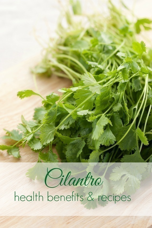 5 Great Recipes to Use up Cheap Cilantro (+ Health Benefits)