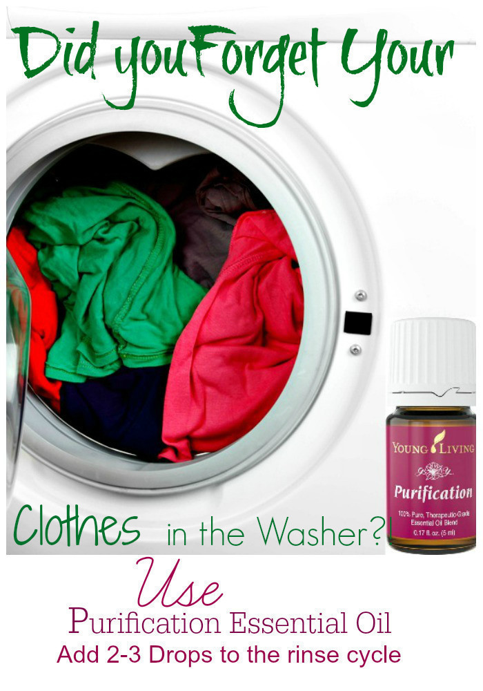 Easy Solution for Wet Clothes Left in the Washer