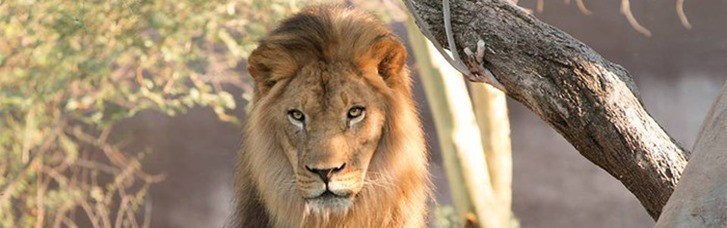 LivingSocial: Adult Admission to the Phoenix Zoo as low as $11