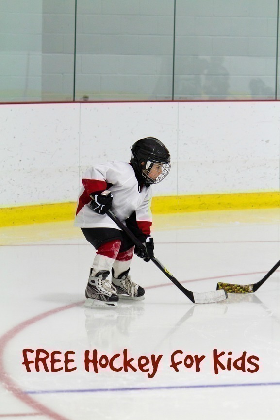 FREE Hockey for Kids in Phoenixn